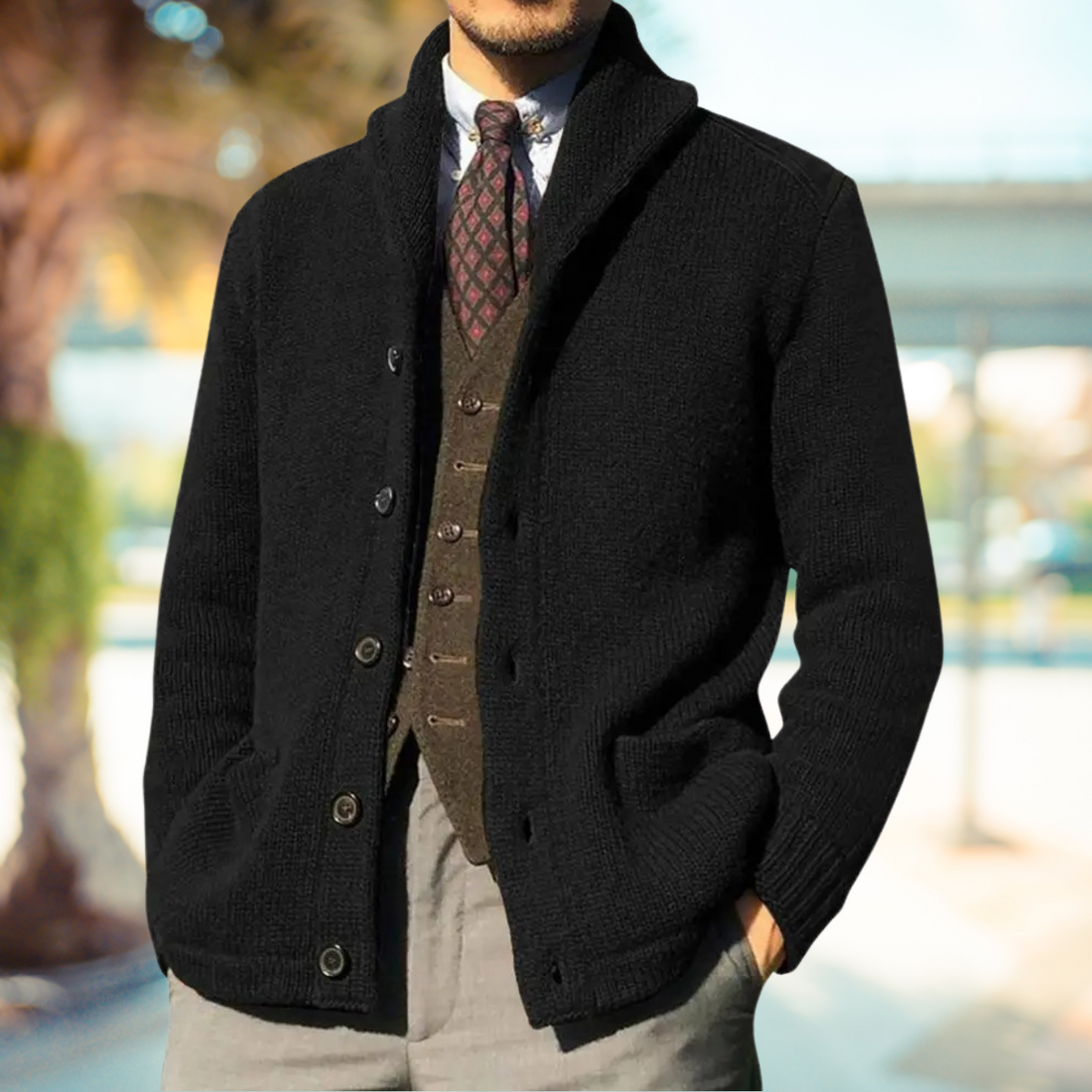 Herrcardigan – Klassisk stickad cardigan – Knappstängning – Regular fit